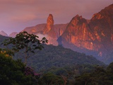 Rainforest and Mountains