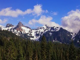 Forest and Mountain Range