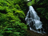 Fairy Falls
