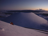 An Entomologist Searches for Insects in the Snow on Mauna Kea