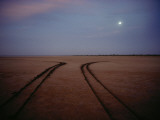 Tire Tracks Reveal Drivers Backing Away from a Flooding Tidal Flat