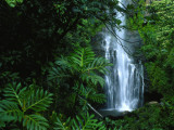 Wailua Falls Cascades into a Forest Glen