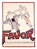 Favor Cycles