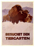 Besochet Den Tiergarten