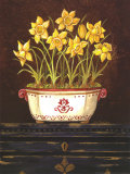 Asian Daphodile Floral