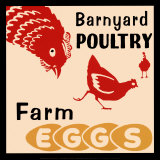 Barnyard Poultry-Farm Eggs