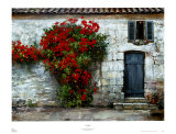 Casafina