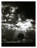 The Veil of the Sky