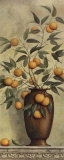 Apricotier