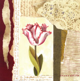 Parrot Tulip Montage I