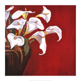 Callas on Red