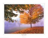 Autumn Mist