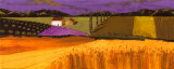 Little Patch of Lavender