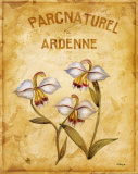 Parcnaturel II