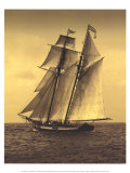Under Sail II