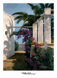 Bougainvillea and Palm Trees