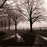 After the Rain