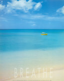 Blue Seas of Barbados