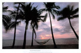 Coconut Palms