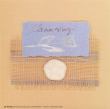 Sand Dollar: Cleansing