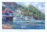 Anchored in Avalon