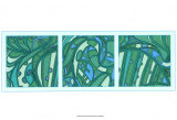 Aqua Fission I