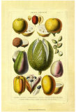 Fruits and Nuts II