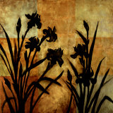Iris Silhouette I