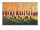 Aspen Light  Right