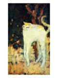 The White Cat