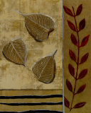 Sage Leaves