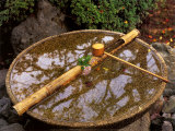 Japan Reflect