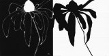 Juxtapose