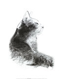 Cat's Head