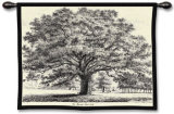 Bounds Park Oak