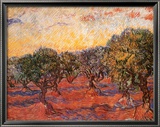 The Olive Grove  c1889