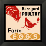 Barnyard Poultry-Farm Eggs
