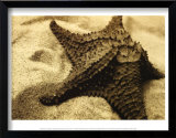 Starfish