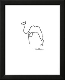 The Camel