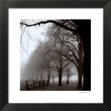 Black and White Morning