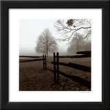 Fence in the Mist