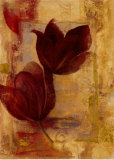 Tulip Abstract I