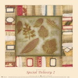 Special Delivery II