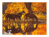 Autumn'S Amber Glow