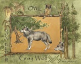 Gray Wolf