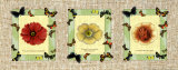 Butterfly Arrangement II