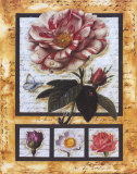 Christy's Garden III