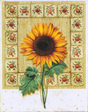 Flower with Border II