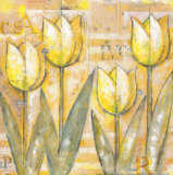 Mariels Tulips IV