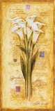 Callas of my Travels